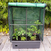 Garden Emporium 118cm Colton Greenhouse