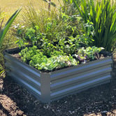 Garden Emporium Aster Galvanised Steel Garden Bed