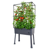 Garden Emporium 162cm Colton Greenhouse