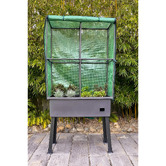 Garden Emporium 162cm Colton Greenhouse