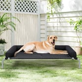 Haven Cove Furniture Granby Elevated Dog Bed