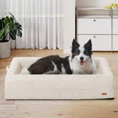 Haven Cove Furniture Arion Orthopedic Teddy Fleece Calming Dog Bed