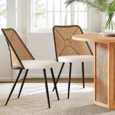 Haven Cove Furniture Ellowyn PE Rattan Dining Chairs