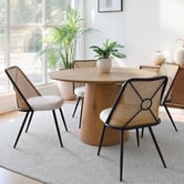 Haven Cove Furniture Ellowyn PE Rattan Dining Chairs