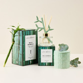 Love Anna Wild Bamboo Botanika Scented Candle