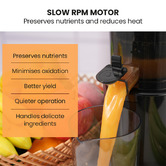Mytopia 800ml Cold Press Juicer