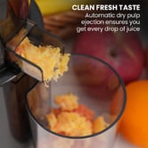 Mytopia 800ml Cold Press Juicer