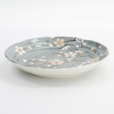 Tokyo Design Studio Fujisakura 22cm Porcelain Deep Plates