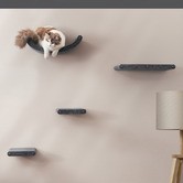 Pryde Pets 4 Piece Pryde Cat Climber Wall Shelf Set