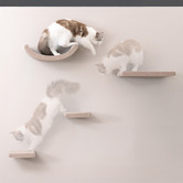 Pryde Pets 4 Piece Pryde Cat Climber Wall Shelf Set