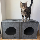 Pryde Pets Pryde Cat Play Cube