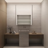 Elm &amp; Arc Massey 900mm Matte White Arch Mirrored Shaving Cabinet with Glass Shelves