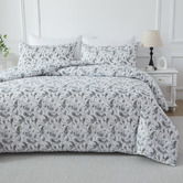 Bellemosa 1000TC Brushed Microfibre Quilt Cover Set