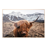 Amber &amp; Fern Scottish Highland Cattle Framed Canvas Wall Art