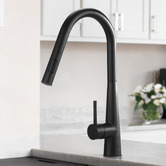 Arbour &amp; Nook Hoskins Gooseneck Pull-Out Kitchen Sink Mixer