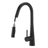 Arbour &amp; Nook Hoskins Gooseneck Pull-Out Kitchen Sink Mixer