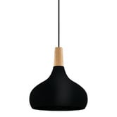 Sorella Living Sabinar Teardrop Steel Pendant Light