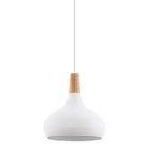 Sorella Living Sabinar Teardrop Steel Pendant Light