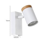 Sorella Living Cartagena Steel Wall Spotlight