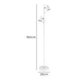 Sorella Living Lara Steel 2 Light Floor Lamp