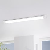 Sorella Living Lanky Steel LED Batten Light