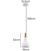 Sorella Living Sabinar Teardrop Steel Pendant Light