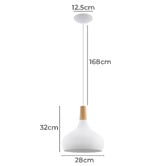 Sorella Living Sabinar Teardrop Steel Pendant Light