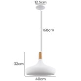 Sorella Living Sabinar Teardrop Steel Pendant Light