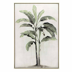 Colonial Palm Framed Canvas Wall Art | Temple & Webster