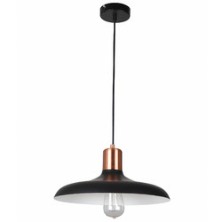 Lunescent_Lighting Pastel 40cm Iron Pendant Light | Temple & Webster