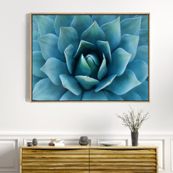 Arthouse Collective Bloom Of Love Canvas Wall Art | Temple & Webster