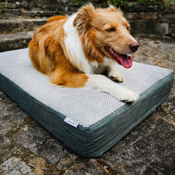 Image showcasing CharliesPetProduct Orthopaedic Foam Dog Crate Mattress | Temple & Webster