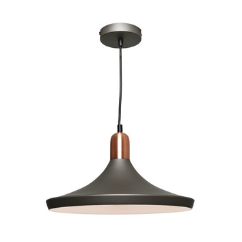 Dusty Pendant Light | Temple & Webster