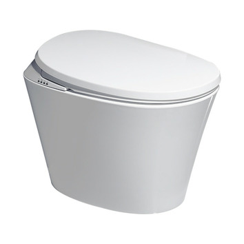 Expert Homewares Intelligent Electric Ceramic Smart Toilet | Temple ...