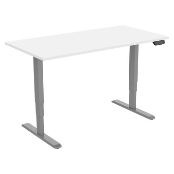 Canohm Ergovida Steel Electric Dual Motor Adjustable Desk | Temple ...