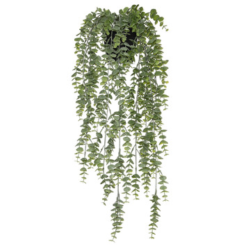 The Home Collective 60cm Hanging Potted Faux Silver Leaf Plant 