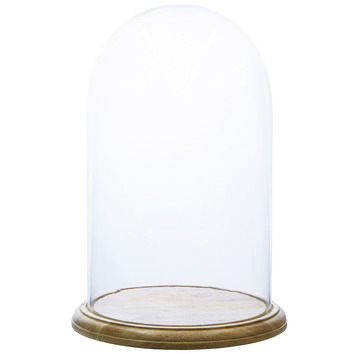 Domo Tall Mango Wood & Glass Cloche | Temple & Webster