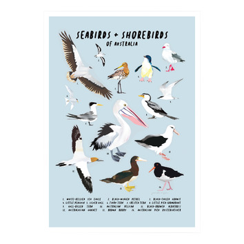 Blue Seabirds & Shorebirds Of Australia Printed Wall Art | Temple & Webster