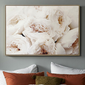 Temple & Webster Peony Canvas Wall Art