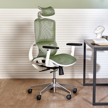 Temple & Webster White & Green Elite Ergonomic Office Chair with Headrest