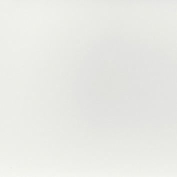 White Temple & Webster