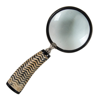 Zebra Magnifying Glass | Temple & Webster