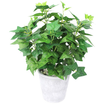 Maddison Lane 39cm Potted Faux Ivy Plant | Temple & Webster