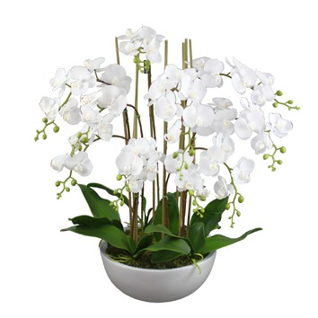 GlamorousFusion 75cm Large Faux Phal Orchid with Ceramic Pot | Temple ...