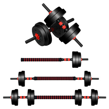 HoxtonRoom 4 in 1 Wellington 20kg Dumbbell Set | Temple & Webster