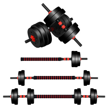 HoxtonRoom 4 in 1 Wellington 40kg Dumbbell Set | Temple & Webster