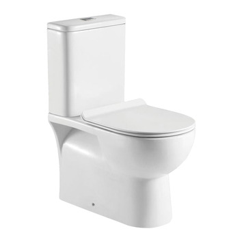 Indiana Rimless Back to Wall Toilet Suite | Temple & Webster