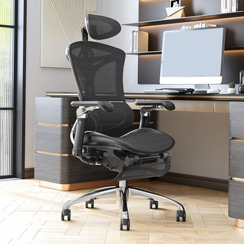 Braxtonhome Vika Office Chair 