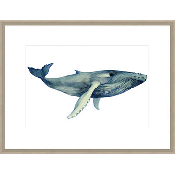 SandStoneSea The Whale's Song II Framed Print | Temple & Webster