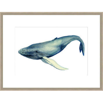 The Whale's Song I Framed Print | Temple & Webster